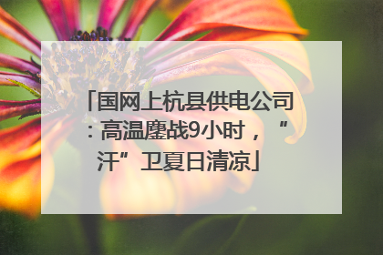 国网上杭县供电公司：高温鏖战9小时，“汗”卫夏日清凉