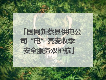 国网新蔡县供电公司“电”亮麦收季 安全服务双护航