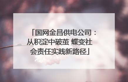 国网金昌供电公司：从积淀中破茧 蝶变社会责任实践新路径