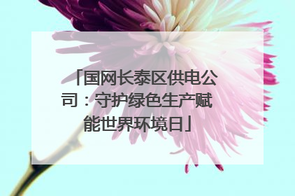 国网长泰区供电公司：守护绿色生产赋能世界环境日