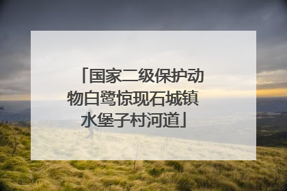 国家二级保护动物白鹭惊现石城镇水堡子村河道