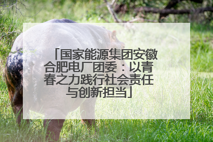 国家能源集团安徽合肥电厂团委：以青春之力践行社会责任与创新担当