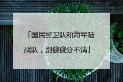 国民警卫队和海军陆战队，别傻傻分不清