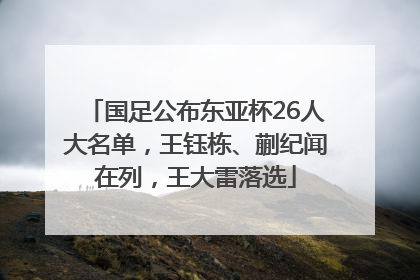 国足公布东亚杯26人大名单，王钰栋、蒯纪闻在列，王大雷落选