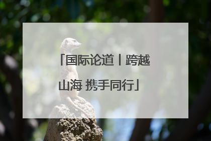 国际论道丨跨越山海 携手同行