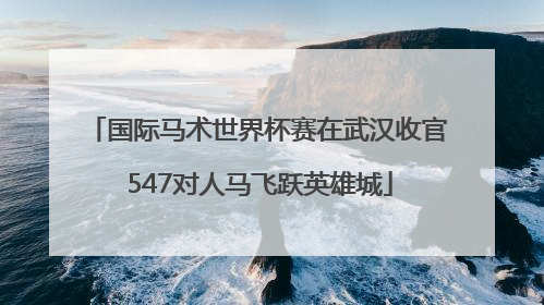 国际马术世界杯赛在武汉收官 547对人马飞跃英雄城