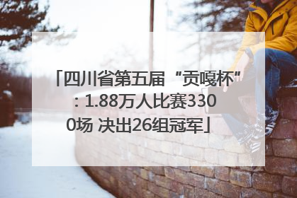 四川省第五届“贡嘎杯”：1.88万人比赛3300场 决出26组冠军