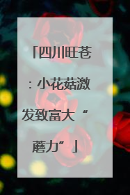 四川旺苍：小花菇激发致富大“蘑力”