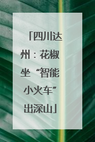 四川达州：花椒坐“智能小火车”出深山