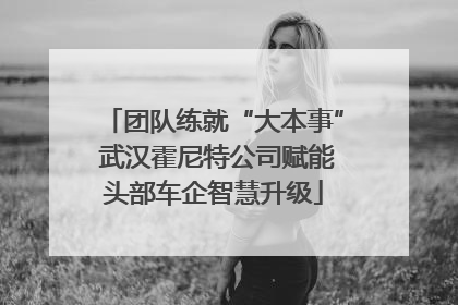 团队练就“大本事” 武汉霍尼特公司赋能头部车企智慧升级