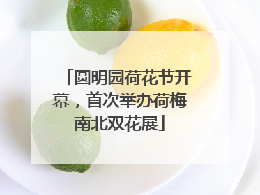 圆明园荷花节开幕，首次举办荷梅南北双花展