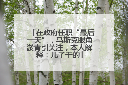 在政府任职“最后一天”，马斯克眼角淤青引关注，本人解释：儿子干的