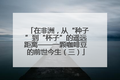 在非洲，从“种子”到“杯子”的遥远距离——一颗咖啡豆的前世今生（三）