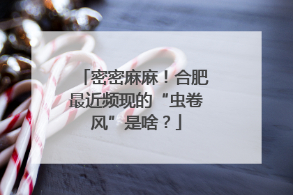 密密麻麻！合肥最近频现的“虫卷风”是啥？