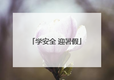 学安全 迎暑假