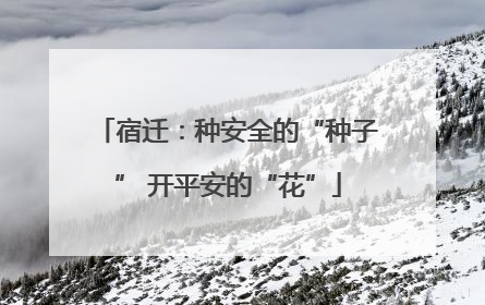 宿迁：种安全的“种子” 开平安的“花”