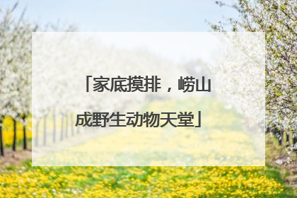 家底摸排，崂山成野生动物天堂