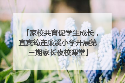 家校共育促学生成长，宜宾筠连廉溪小学开展第三期家长夜校课堂