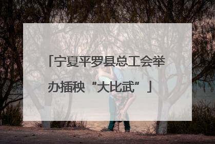 宁夏平罗县总工会举办插秧“大比武”