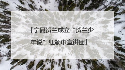 宁夏贺兰成立“贺兰少年说”红领巾宣讲团