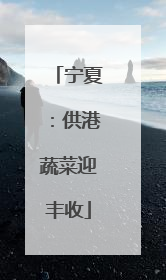 宁夏：供港蔬菜迎丰收