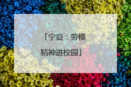 宁夏：劳模精神进校园