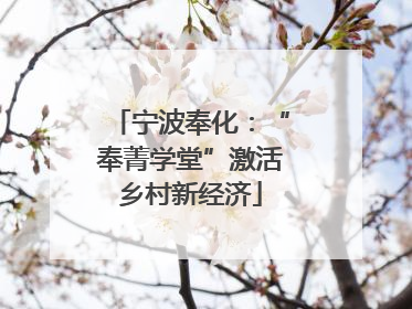 宁波奉化：“奉菁学堂”激活乡村新经济