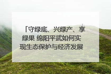 守绿底、兴绿产、享绿果 绵阳平武如何实现生态保护与经济发展双赢？｜新闻发布最前线·深一度