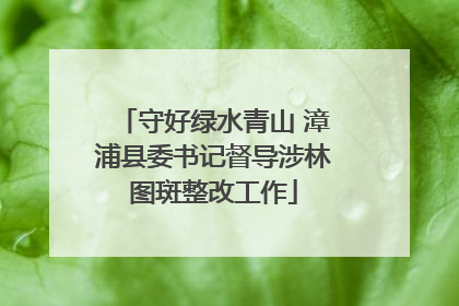 守好绿水青山 漳浦县委书记督导涉林图斑整改工作