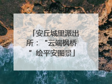 安丘城里派出所：“云端枫桥”绘平安图景