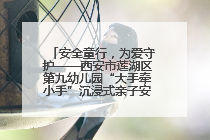 安全童行，为爱守护——西安市莲湖区第九幼儿园“大手牵小手”沉浸式亲子安全体验活动