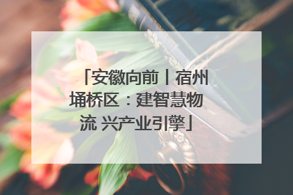 安徽向前丨宿州埇桥区：建智慧物流 兴产业引擎