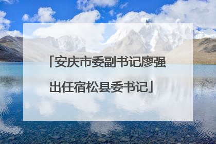 安庆市委副书记廖强出任宿松县委书记
