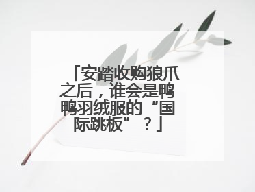 安踏收购狼爪之后，谁会是鸭鸭羽绒服的“国际跳板”？