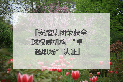 安踏集团荣获全球权威机构 “卓越职场”认证