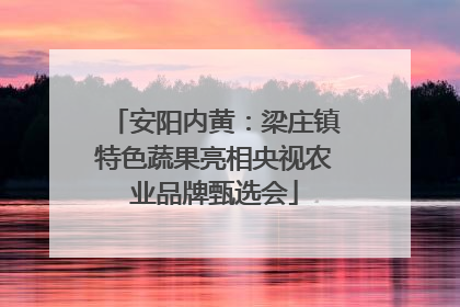 安阳内黄：梁庄镇特色蔬果亮相央视农业品牌甄选会