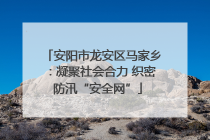 安阳市龙安区马家乡：凝聚社会合力 织密防汛“安全网”