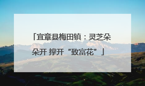 宜章县梅田镇：灵芝朵朵开 撑开“致富花”