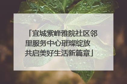 宜城紫峰雅院社区邻里服务中心璀璨绽放 共启美好生活新篇章