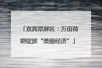 宜宾翠屏区：万亩荷塘绽放“美丽经济”