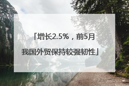 增长2.5%，前5月我国外贸保持较强韧性
