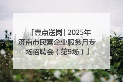 壹点送岗│2025年济南市民营企业服务月专场招聘会（第9场）