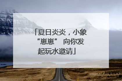夏日炎炎，小象“崽崽” 向你发起玩水邀请
