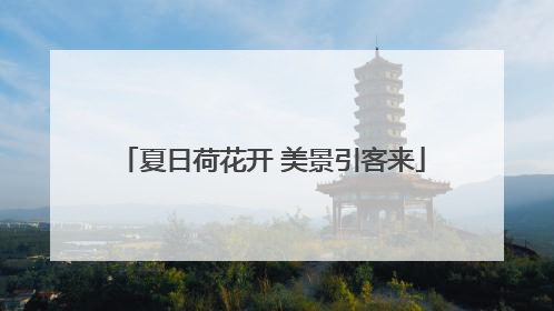 夏日荷花开 美景引客来