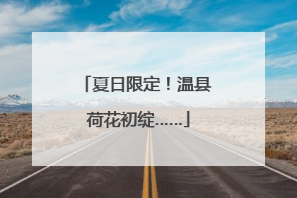 夏日限定！温县荷花初绽……