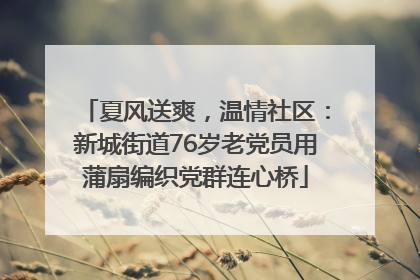 夏风送爽，温情社区：新城街道76岁老党员用蒲扇编织党群连心桥