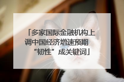 多家国际金融机构上调中国经济增速预期 “韧性”成关键词