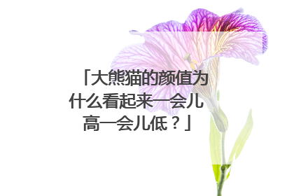 大熊猫的颜值为什么看起来一会儿高一会儿低？