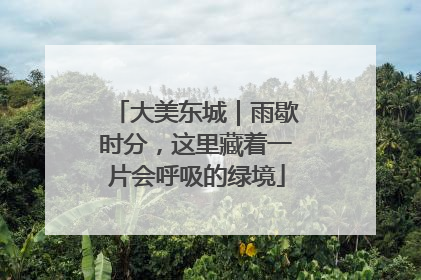大美东城｜雨歇时分，这里藏着一片会呼吸的绿境