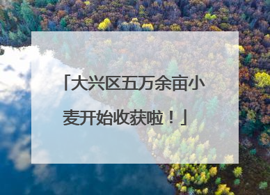 大兴区五万余亩小麦开始收获啦！